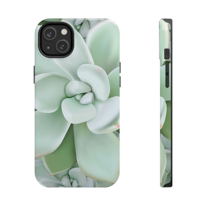 Pachyveria Haagei Succulent Phone Case, Phone Case, Printify, Accessories, Glossy, iPhone Cases, Matte, Phone accessory, Phone Cases, Samsung Cases, Laura Christine Photography & Design, laurachristinedesign.com