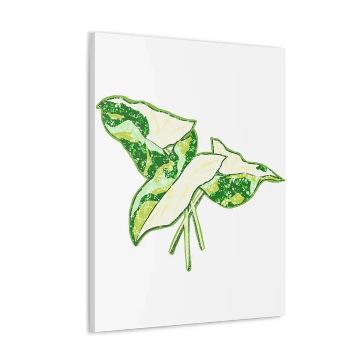 Marble Syngonium Canvas - Botanical Canvas Art Print | Durable Cotton Matte Finish - Laura Christine Photography & Design