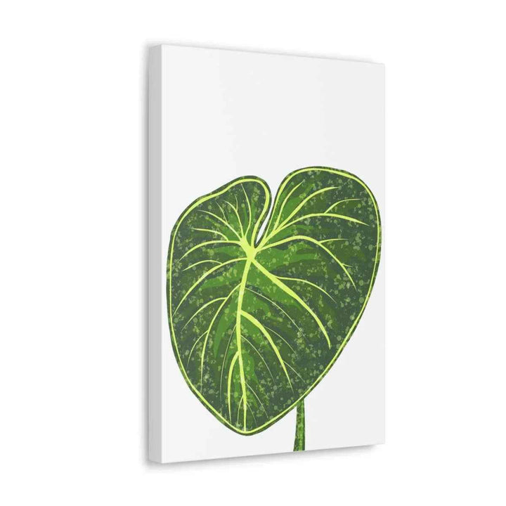 Philodendron Gloriosum Canvas - Stretched Canvas Art Print | Matte Indoor Wall Art