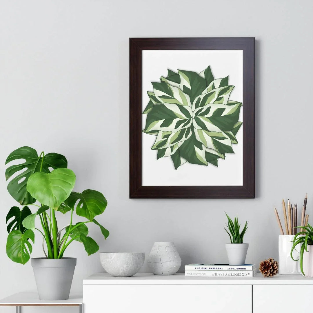 Calathea White Fusion Framed Print, Poster, Laura Christine Photography & Design, Bottle, Calathea, Canvas Bag, Coffee, Drinkware, Framed, Home & Living, Indoor, Paper, Posters, Prayer Plant, Reusable, Shopping Bag, Tea, Tote Bag, Travel, Tumbler, Water, White Fusion, Laura Christine Photography & Design, laurachristinedesign.com