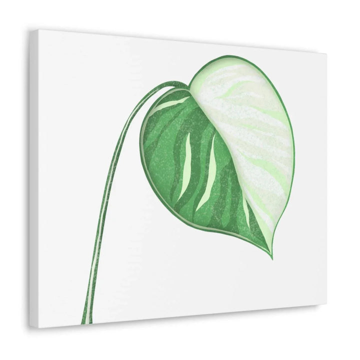 Monstera Albo Canvas | Large Tropical Leaf Artwork - Matte Finish Canvas Art Print - Laura Christine Photography & Design