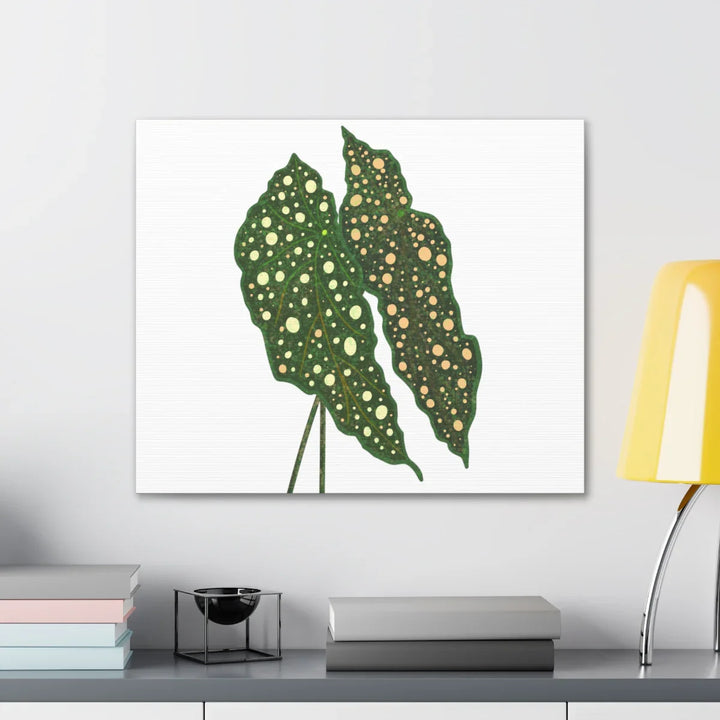 Begonia Maculata Canvas | Premium Canvas Art Print - Matte Finish, Durable Wall Decor - Laura Christine Photography & Design