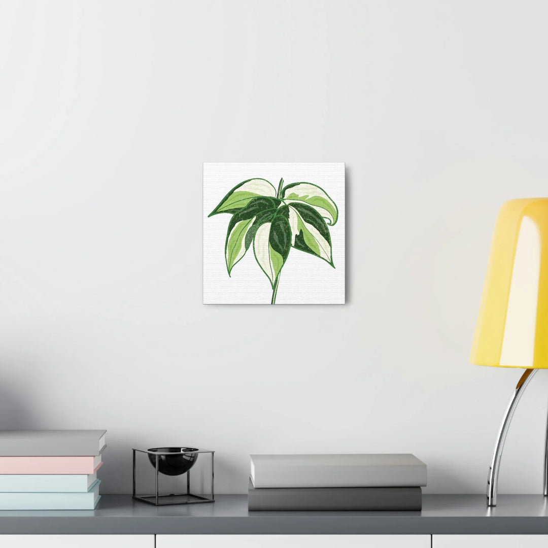 Philodendron Canvas Print - Cream Splash Variegated Plant Art on Matte Cotton Canvas