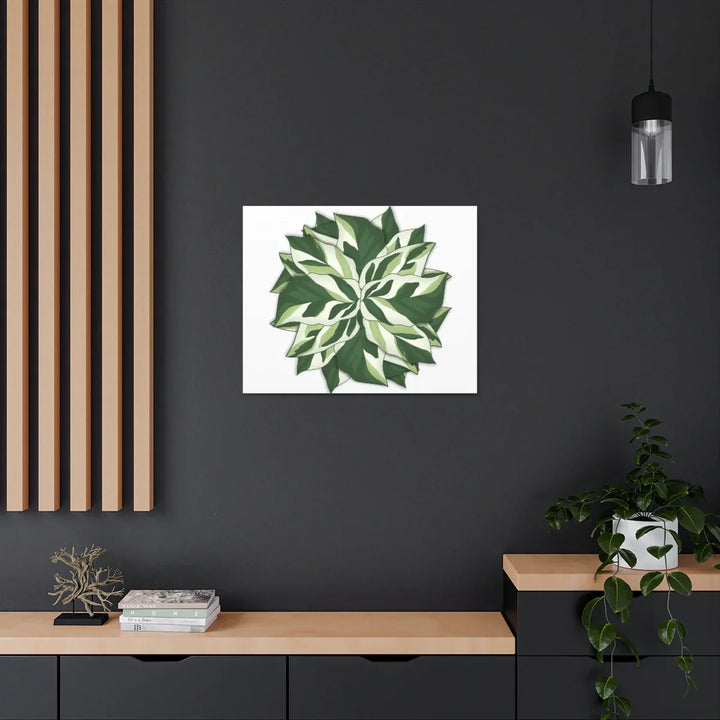 Calathea White Fusion Canvas | Indoor Wall Art - Matte Finish Botanical Canvas Art Print - Laura Christine Photography & Design
