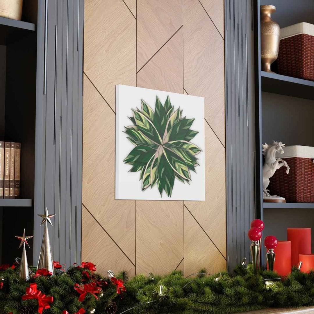 Stromanthe Triostar Canvas - Pastel Stripe Canvas Art Print With Vivid Color Artwork