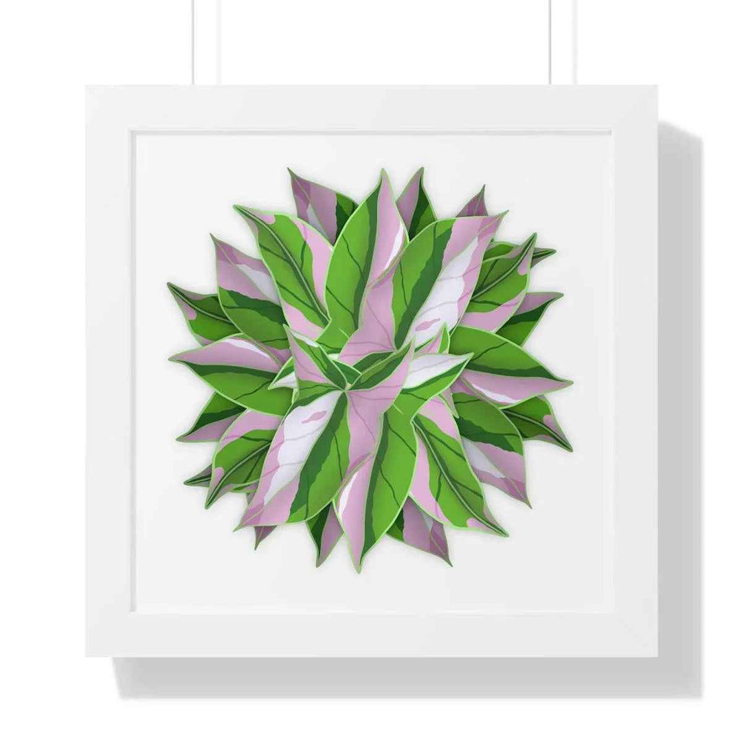 Syngonium Tricolor Print - Framed Botanical Art With Matte Finish & Acrylic Cover