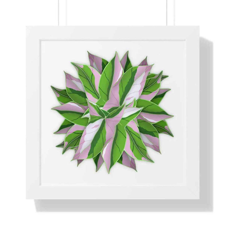 Syngonium Tricolor Print - Framed Botanical Art With Matte Finish & Acrylic Cover