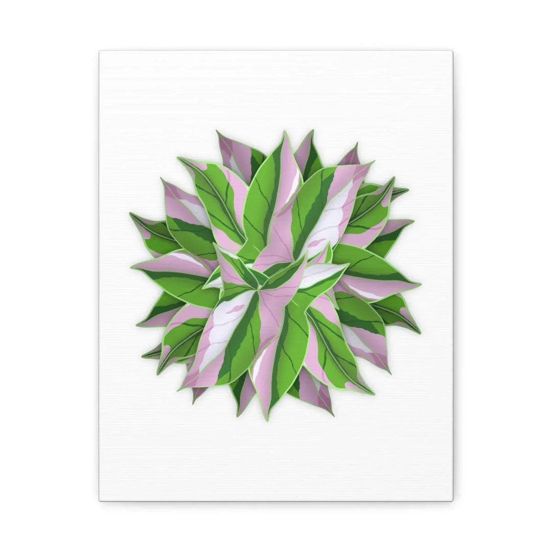 Tricolor Syngonium Canvas - Durable Canvas Art Print With Matte Finish & Botanical Design - Laura Christine Photography & Design