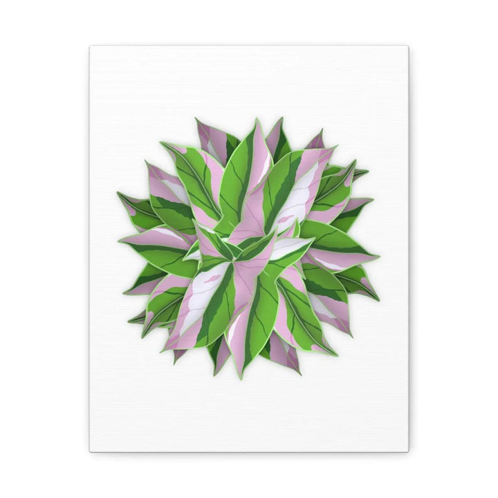 Tricolor Syngonium Canvas - Durable Canvas Art Print With Matte Finish & Botanical Design - Laura Christine Photography & Design