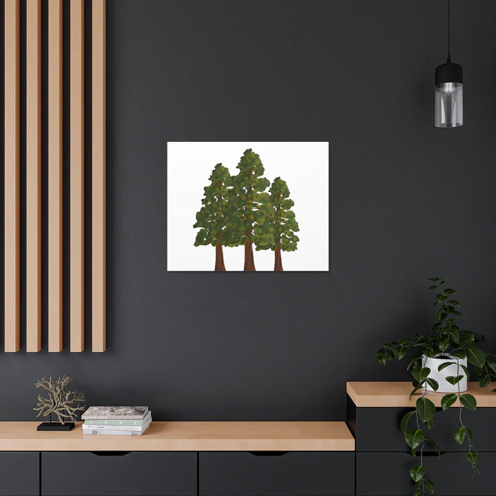 Coastal Redwoods Canvas - Stretched Cotton Canvas Art Print | Matte Finish Wall Hanging Artwork