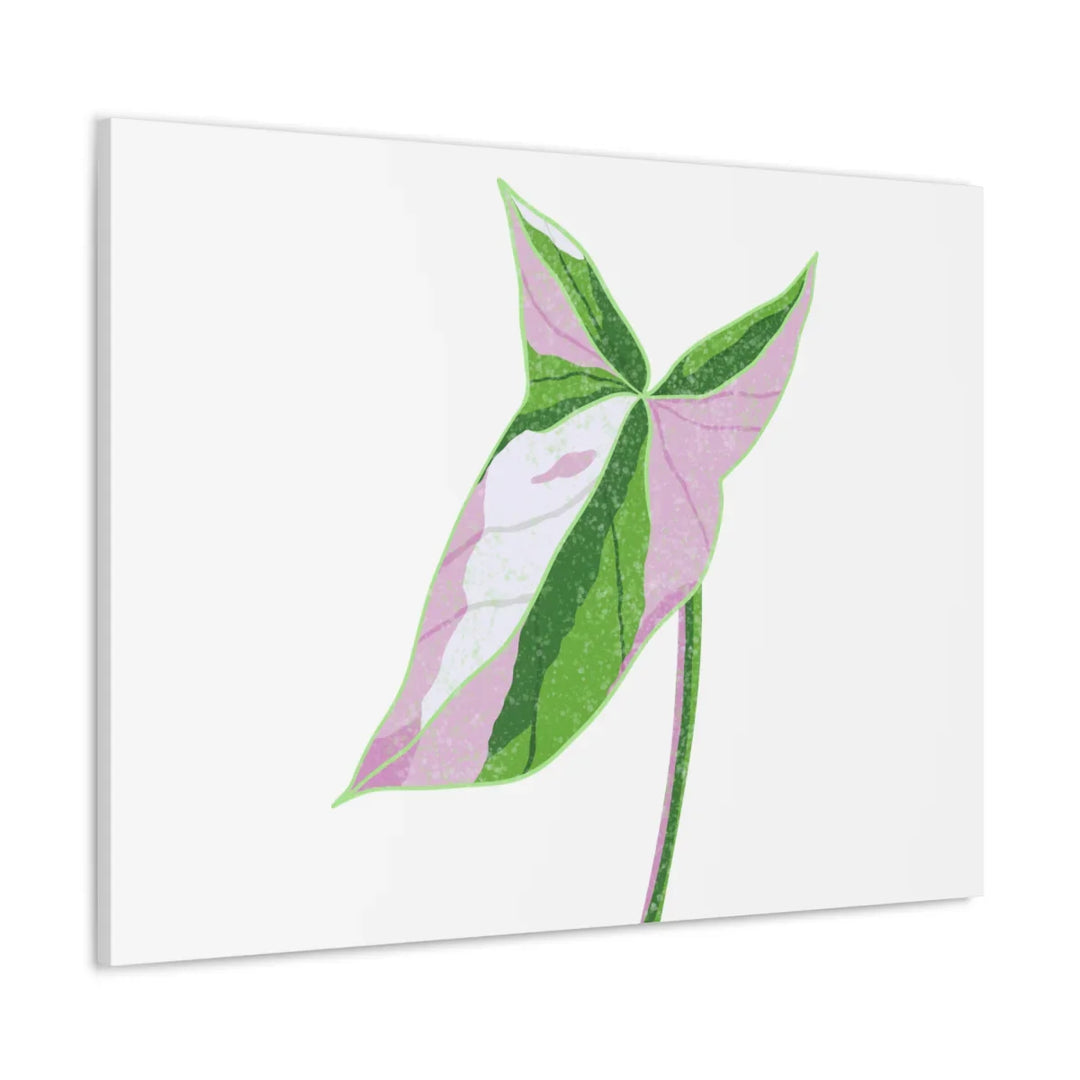 Syngonium Tricolor Canvas | Botanical Canvas Art Print With Matte Finish - Laura Christine Photography & Design
