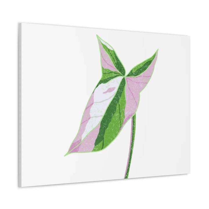 Syngonium Tricolor Canvas | Botanical Canvas Art Print With Matte Finish - Laura Christine Photography & Design