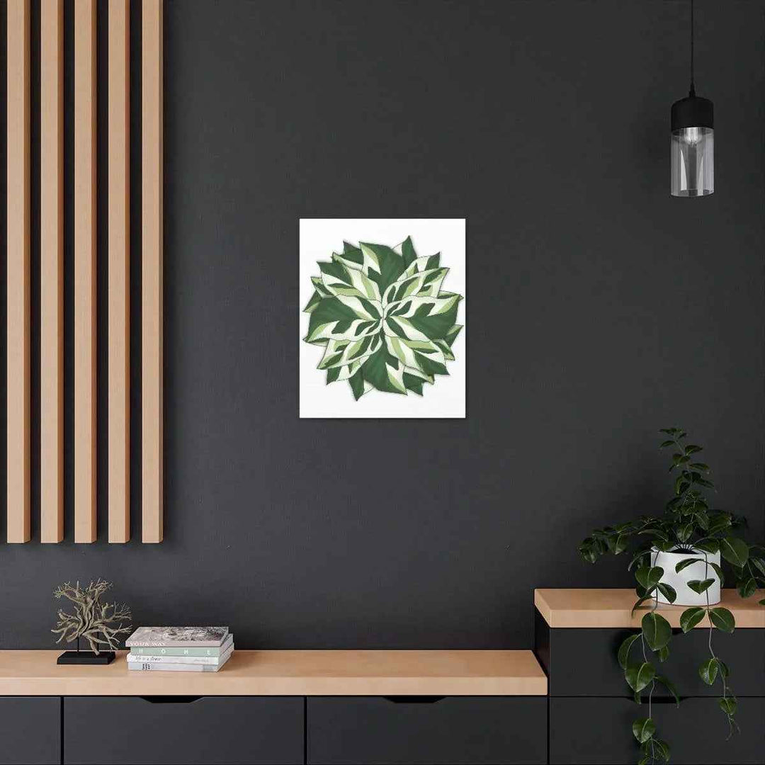 Calathea White Fusion Canvas | Indoor Wall Art - Matte Finish Botanical Canvas Art Print