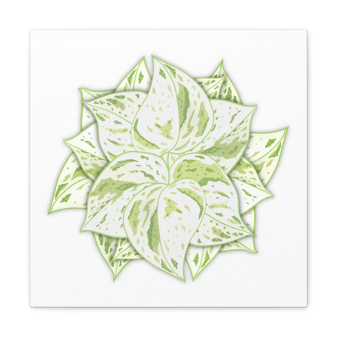 Snow Queen Pothos Canvas – Variegated Leaf Canvas Art Print | Durable Cotton - Laura Christine Photography & Design