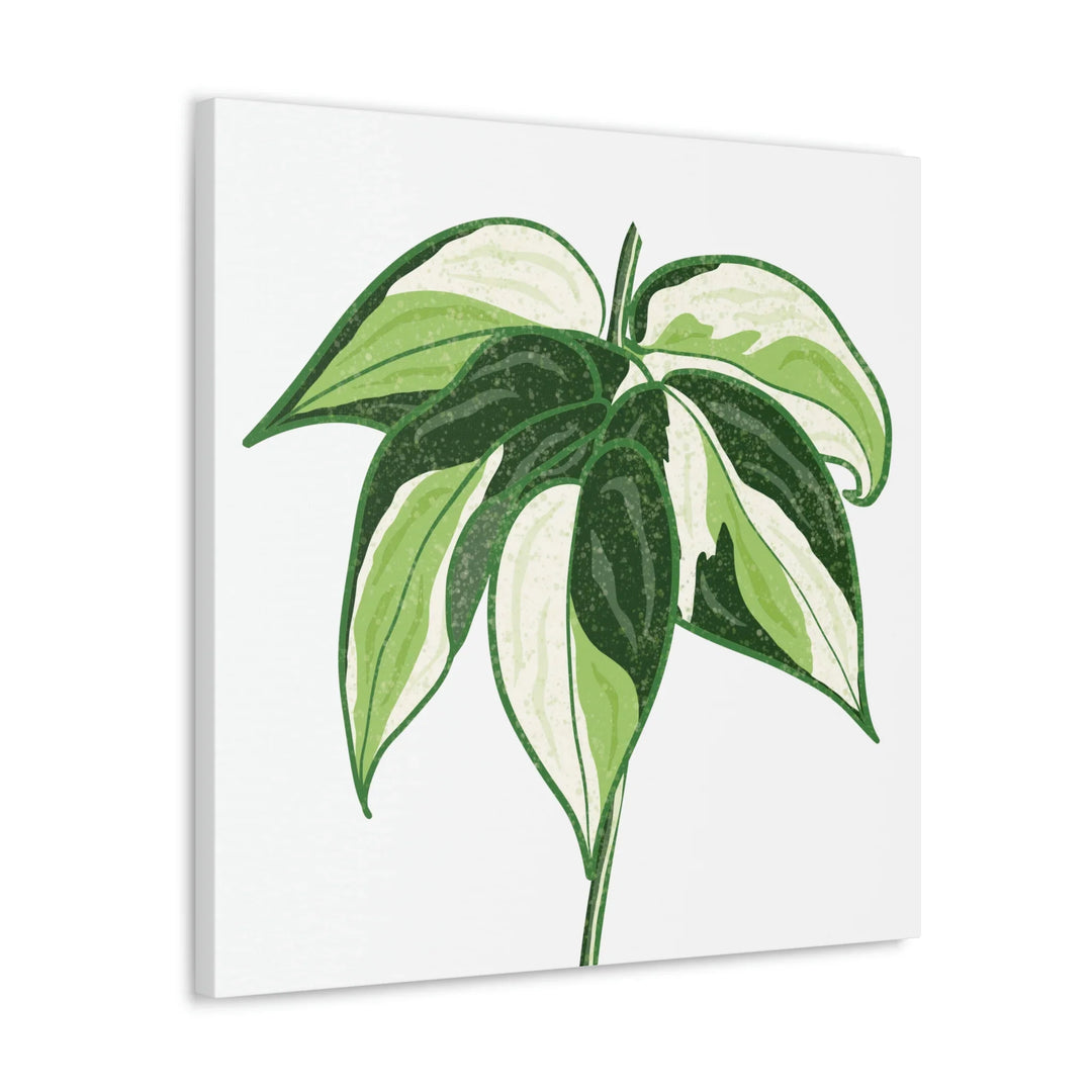Philodendron Canvas Print - Cream Splash Variegated Plant Art on Matte Cotton Canvas
