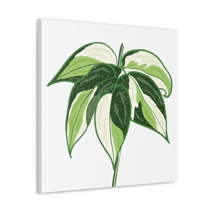 Philodendron Canvas Print - Cream Splash Variegated Plant Art on Matte Cotton Canvas