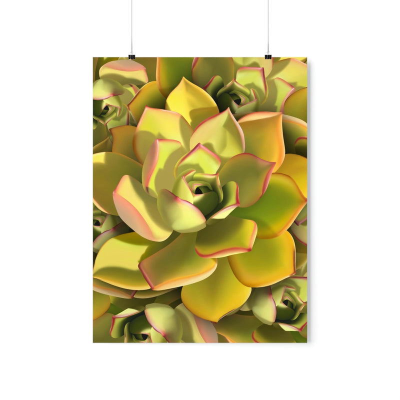 Noble Aeonium Succulent Pattern Print, Poster, Printify, Back to School, Home & Living, Indoor, Matte, Paper, Posters, Valentine&