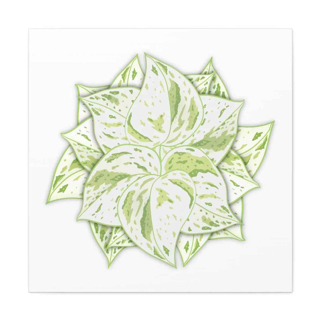 Snow Queen Pothos Canvas – Variegated Leaf Canvas Art Print | Durable Cotton