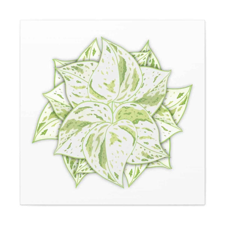 Snow Queen Pothos Canvas – Variegated Leaf Canvas Art Print | Durable Cotton