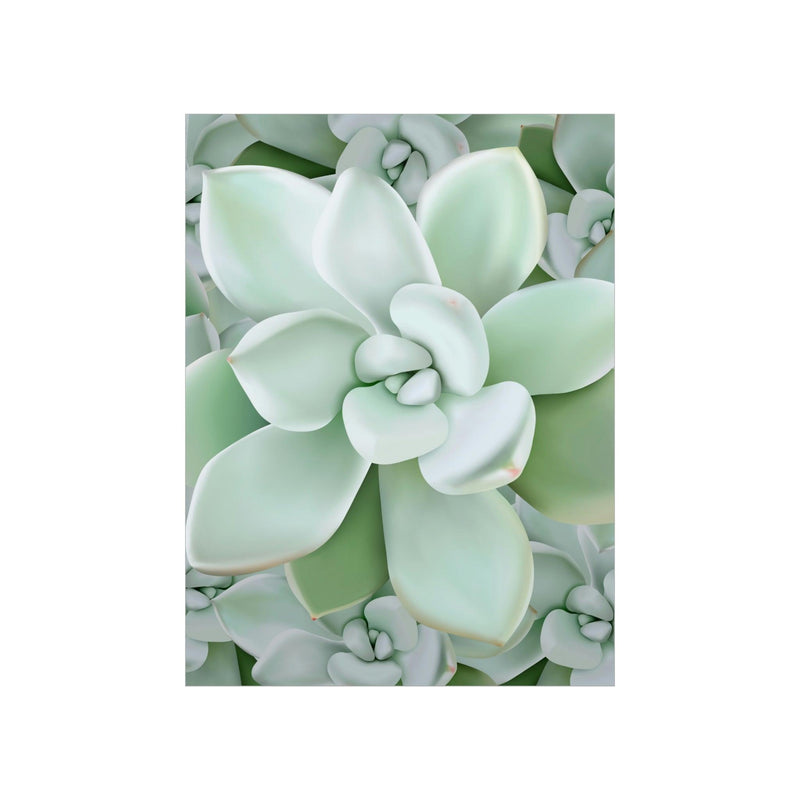 Pachyveria Haagei Succulent Pattern Print, Poster, Printify, Back to School, Home & Living, Indoor, Matte, Paper, Posters, Valentine&