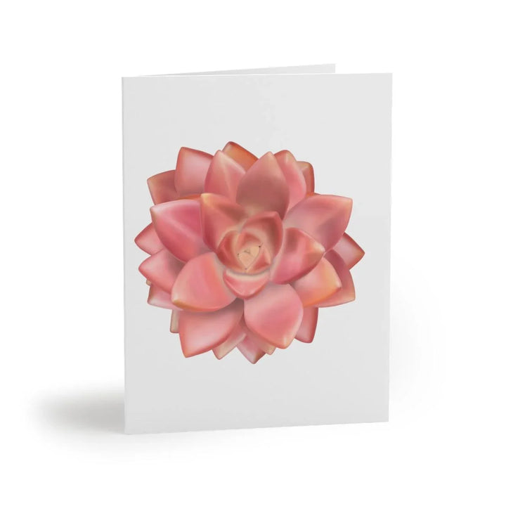 Graptosedum 'California Sunset' Succulent Greeting Card, Paper products, Laura Christine Photography & Design, Greeting Card, Holiday Picks, Home & Living, Paper, Postcard, Postcards, Laura Christine Photography & Design, laurachristinedesign.com