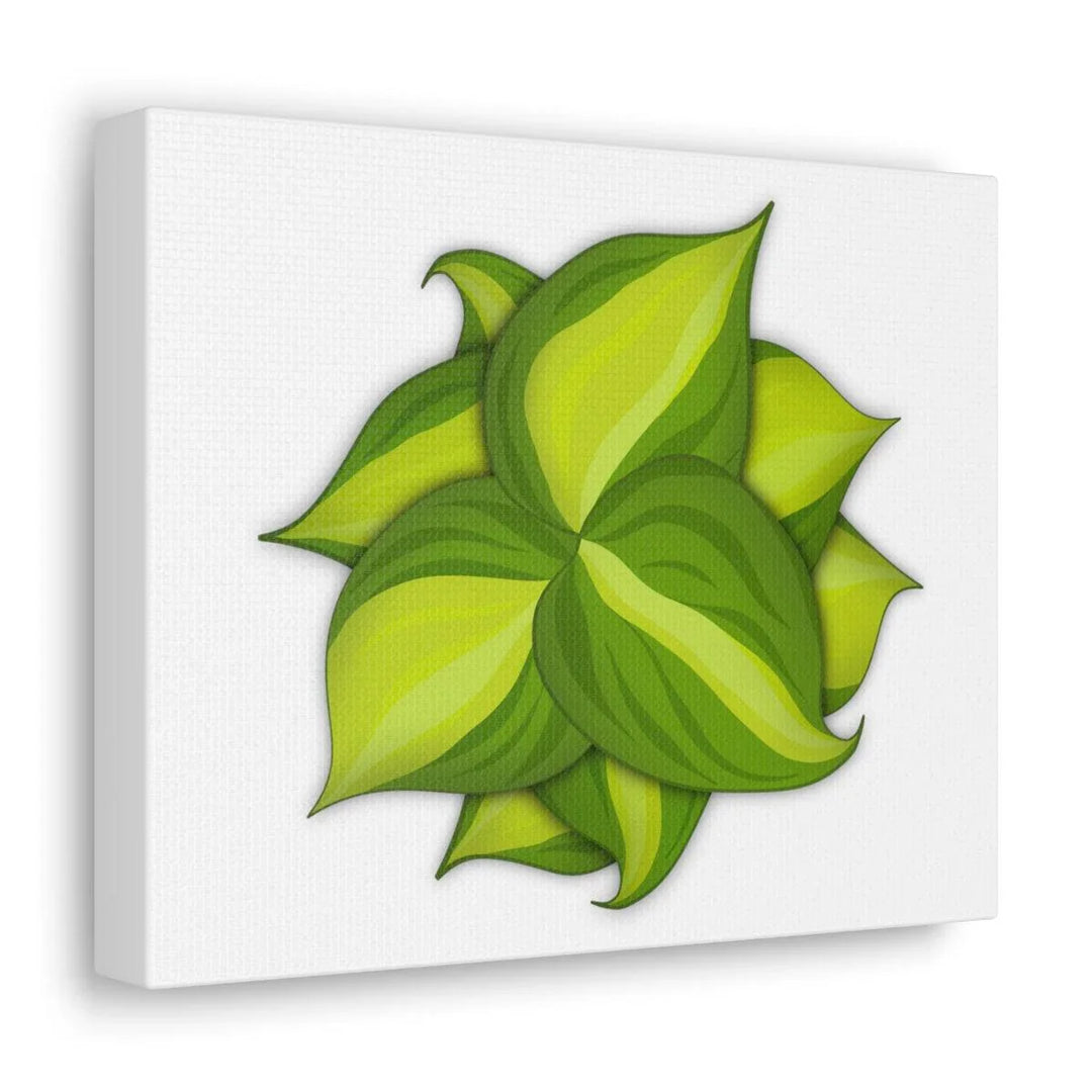 Philodendron Brasil Canvas - Botanical Canvas Art Print With Matte Finish & Durable Hanging - Laura Christine Photography & Design