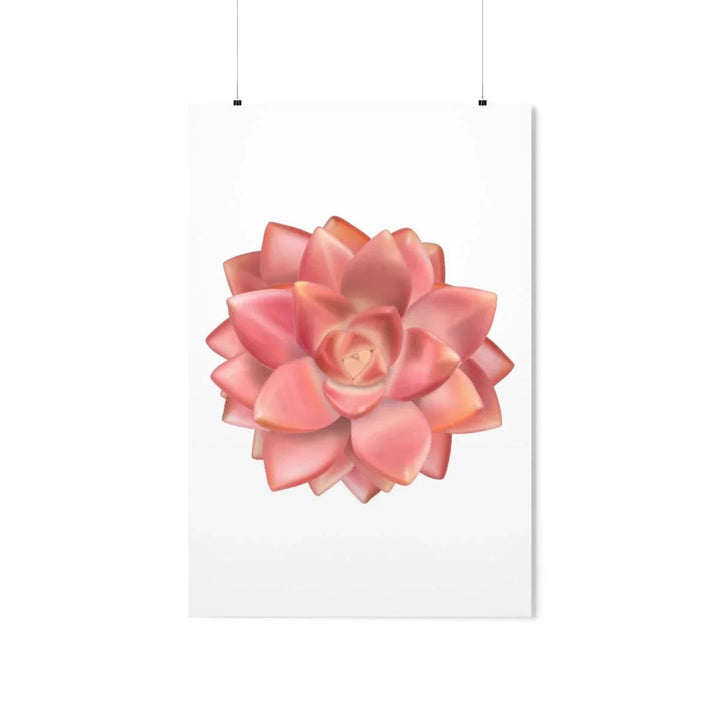 Graptosedum 'California Sunset'  Succulent Print, Poster, Laura Christine Photography & Design, Back to School, Home & Living, Indoor, Matte, Paper, Posters, Valentine's Day promotion, Laura Christine Photography & Design, laurachristinedesign.com