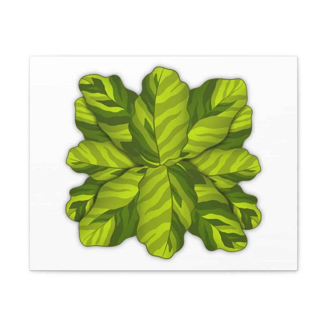Calathea Yellow Fusion Canvas – Botanical Canvas Print With Unique Leaf Pattern Art