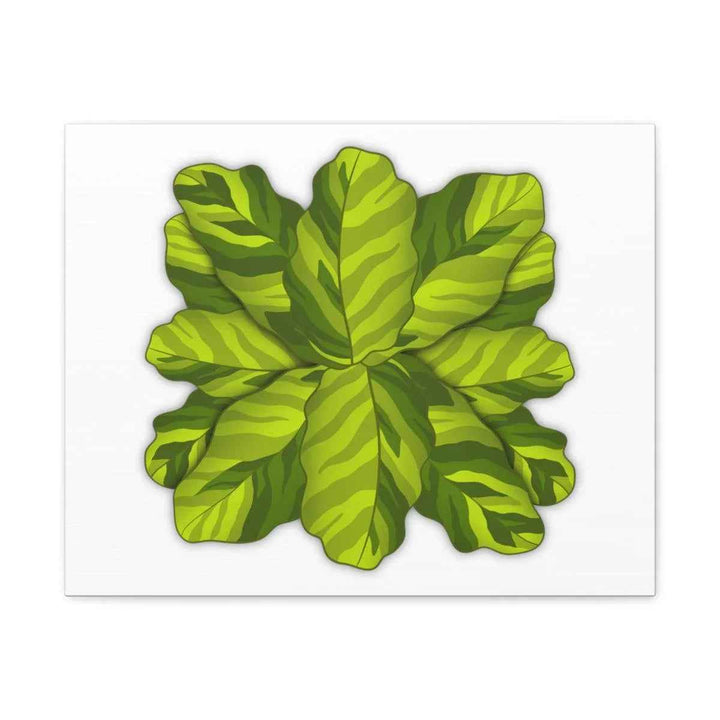 Calathea Yellow Fusion Canvas – Botanical Canvas Print With Unique Leaf Pattern Art