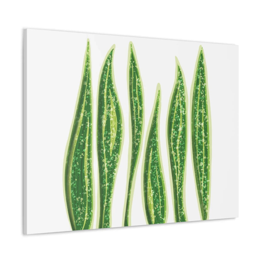 Snake Plant Canvas | Botanical Canvas Decor - Matte Finish Artwork for Living Room - Laura Christine Photography & Design