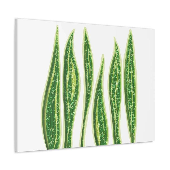 Snake Plant Canvas | Botanical Canvas Decor - Matte Finish Artwork for Living Room - Laura Christine Photography & Design