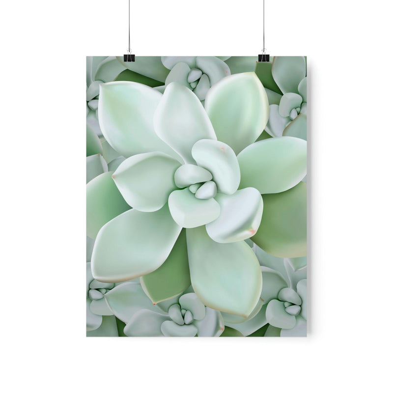 Pachyveria Haagei Succulent Pattern Print, Poster, Printify, Back to School, Home & Living, Indoor, Matte, Paper, Posters, Valentine&