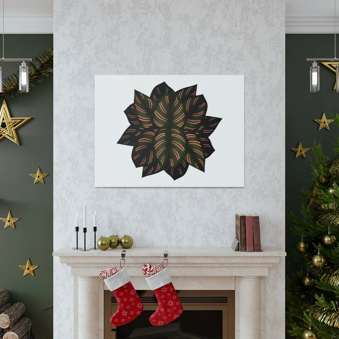 Calathea Pinstripe Canvas – Botanical Canvas Art Print | Matte Finish Wall Decor