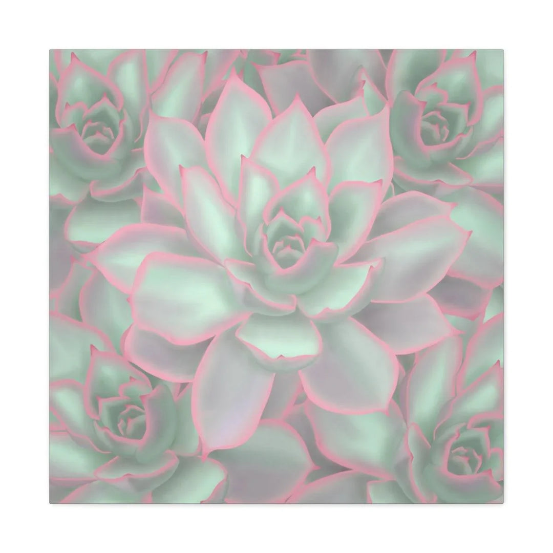 Echeveria Violet Queen Succulent Canvas, Canvas, Laura Christine Photography & Design, Art & Wall Decor, Canvas, Hanging Hardware, Home & Living, Indoor, Laura Christine Photography & Design, laurachristinedesign.com