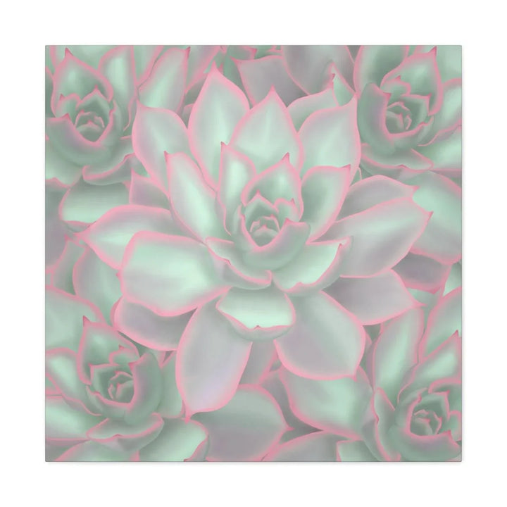 Echeveria Violet Queen Succulent Canvas, Canvas, Laura Christine Photography & Design, Art & Wall Decor, Canvas, Hanging Hardware, Home & Living, Indoor, Laura Christine Photography & Design, laurachristinedesign.com