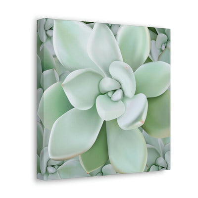 Pachyveria Haagei Succulent Pattern Canvas, Canvas, Printify, Art & Wall Decor, Canvas, Hanging Hardware, Home & Living, Indoor, Laura Christine Photography & Design, laurachristinedesign.com