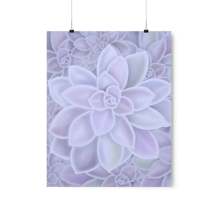 Graptopetalum 'Murasaki' Succulent Print, Poster, Laura Christine Photography & Design, Back to School, Home & Living, Indoor, Matte, Paper, Posters, Valentine's Day promotion, Laura Christine Photography & Design, laurachristinedesign.com