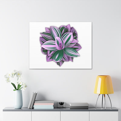 Tradescantia Nanouk Canvas