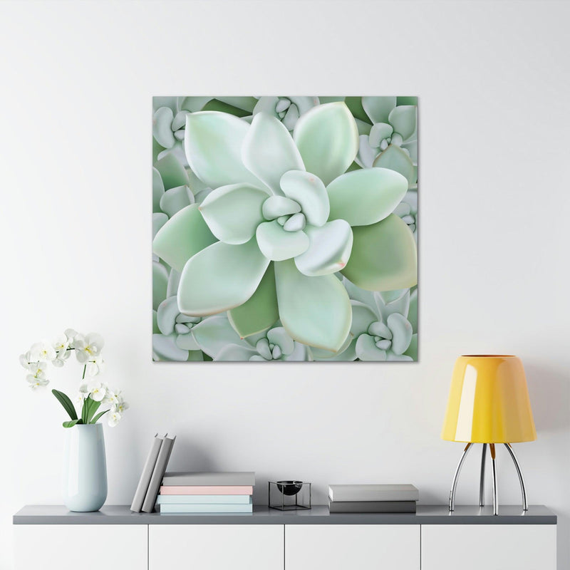 Pachyveria Haagei Succulent Pattern Canvas, Canvas, Printify, Art & Wall Decor, Canvas, Hanging Hardware, Home & Living, Indoor, Laura Christine Photography & Design, laurachristinedesign.com