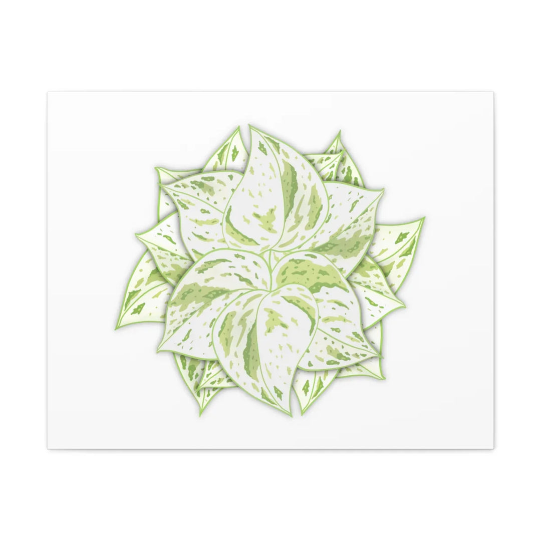 Snow Queen Pothos Canvas – Variegated Leaf Canvas Art Print | Durable Cotton - Laura Christine Photography & Design