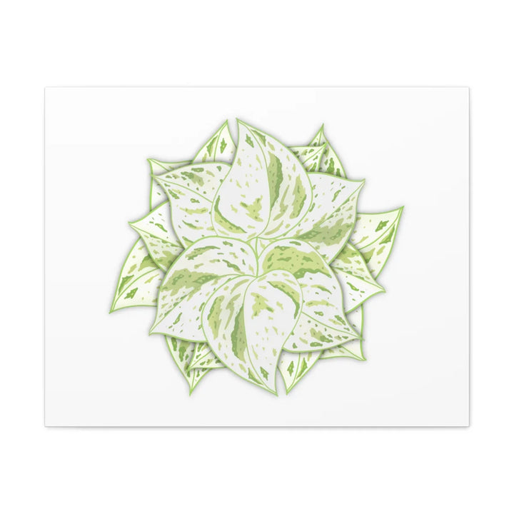 Snow Queen Pothos Canvas – Variegated Leaf Canvas Art Print | Durable Cotton - Laura Christine Photography & Design