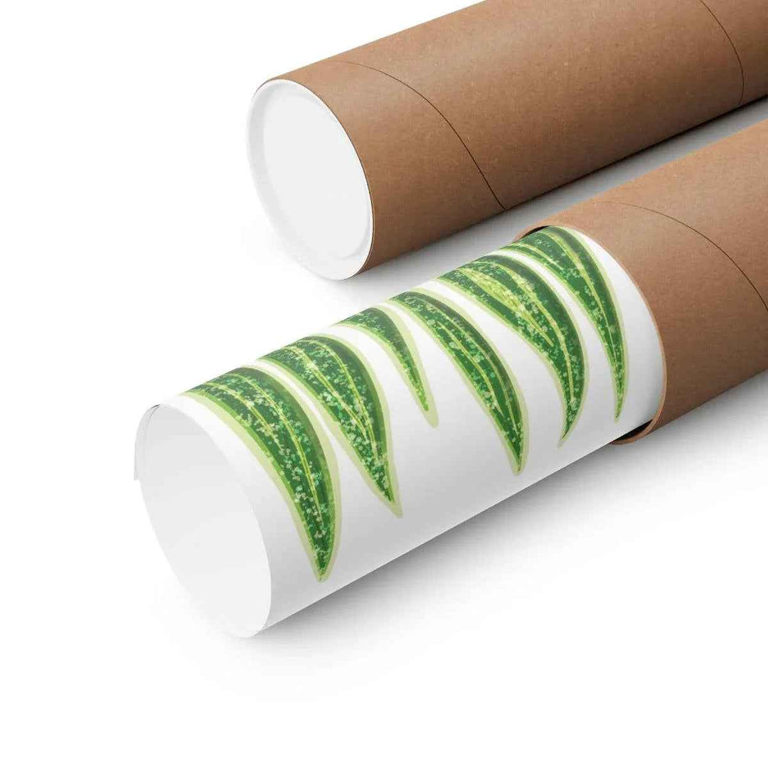 Snake Plant Print – Large Botanical Wall Art Poster | Matte Finish | Unframed