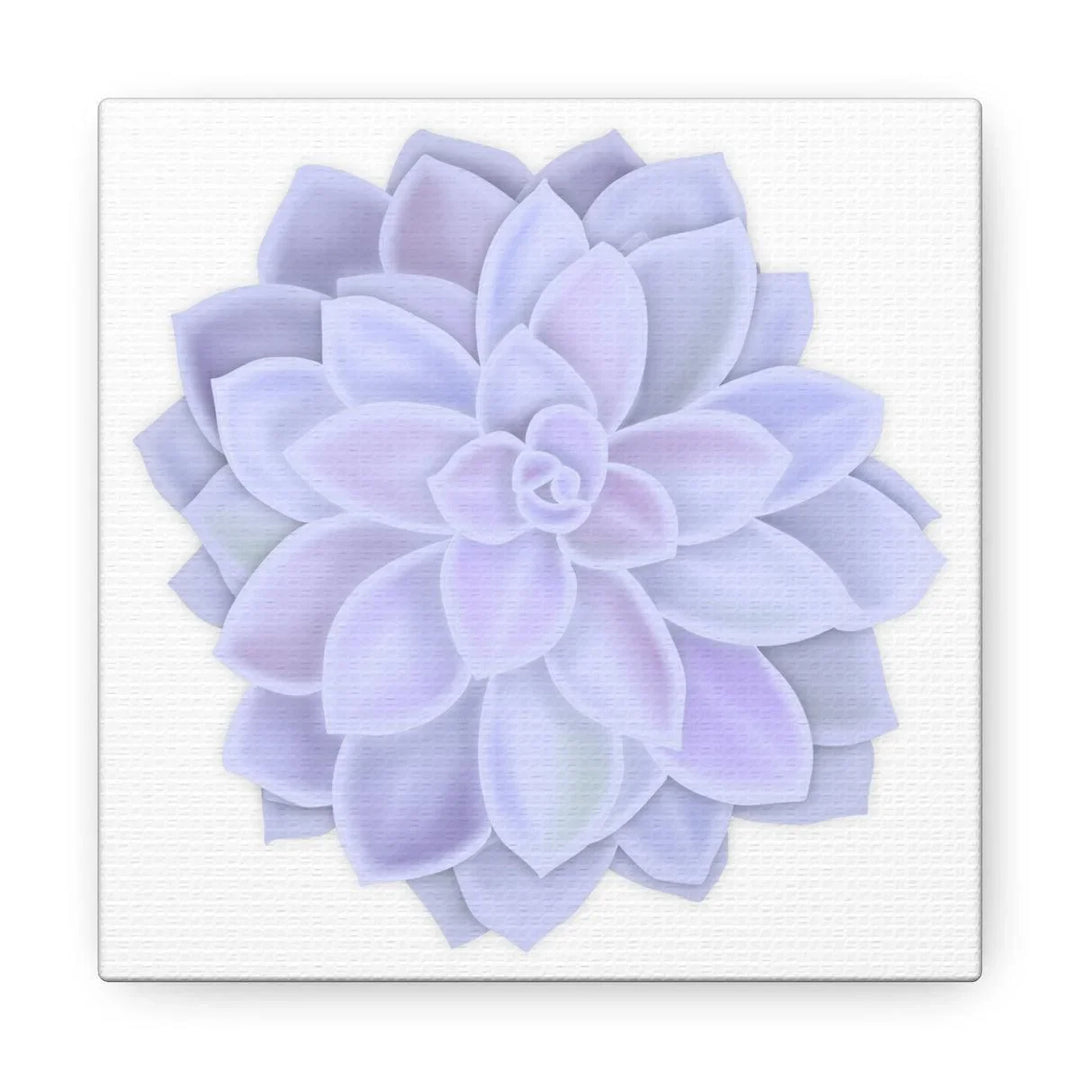 Graptopetalum 'Murasaki' Succulent Canvas, Canvas, Laura Christine Photography & Design, Art & Wall Decor, Canvas, Hanging Hardware, Home & Living, Indoor, Laura Christine Photography & Design, laurachristinedesign.com