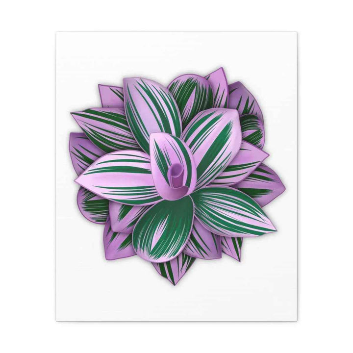 Tradescantia Nanouk Canvas – Botanical Canvas Art Print | Matte Finish Wall Decor