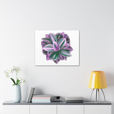 Tradescantia Nanouk Canvas