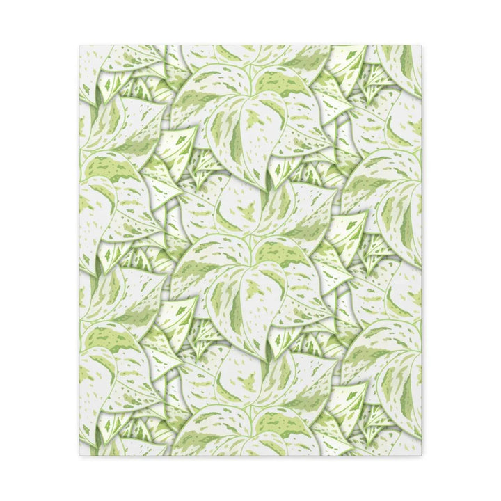 Snow Queen Pothos Canvas, Canvas, Laura Christine Photography & Design, Art & Wall Decor, Canvas, Hanging Hardware, Home & Living, Indoor, Laura Christine Photography & Design, laurachristinedesign.com