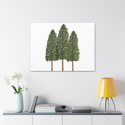 Ponderosa Pine Canvas