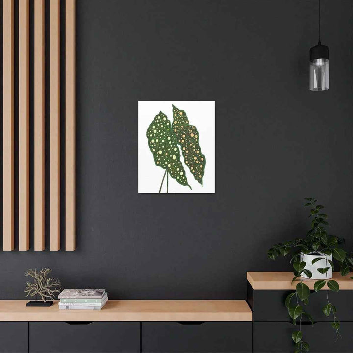 Begonia Maculata Canvas | Premium Canvas Art Print - Matte Finish, Durable Wall Decor