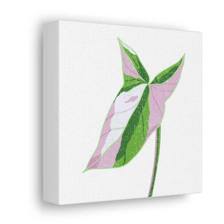 Syngonium Tricolor Canvas | Botanical Canvas Art Print With Matte Finish
