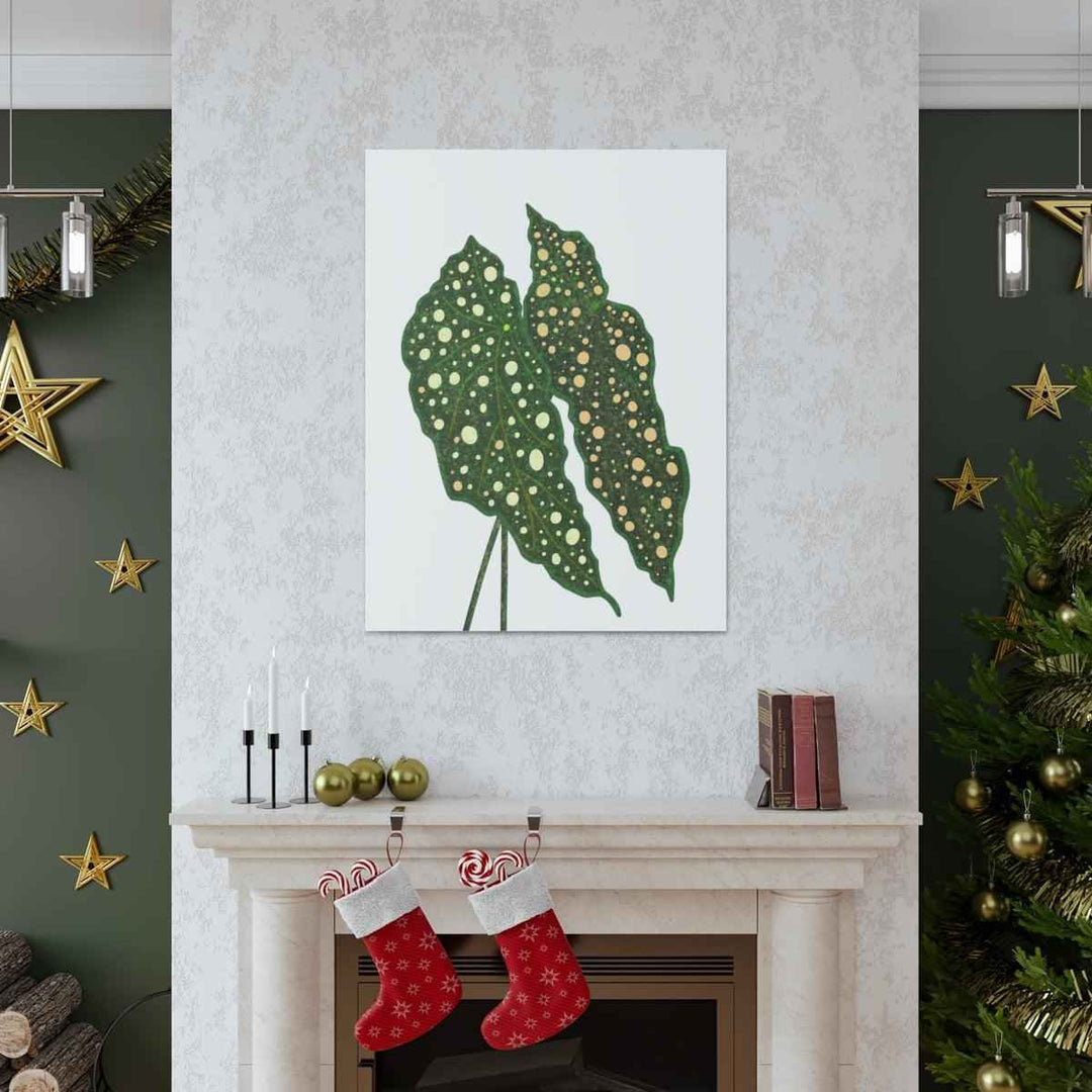 Begonia Maculata Canvas | Premium Canvas Art Print - Matte Finish, Durable Wall Decor